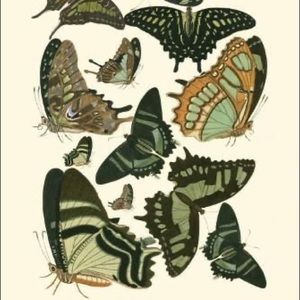 Meet your Posher, Adaleah